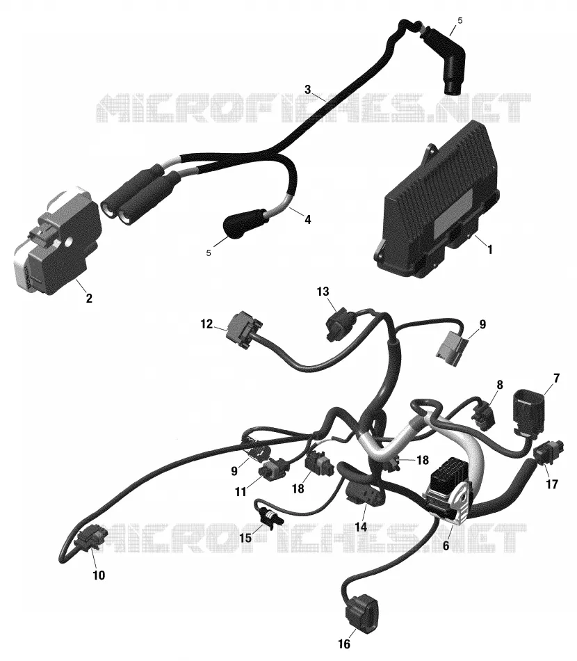 Rotax - Câblage Moteur Et Module Électronique -  Avec Différentiel GRIP