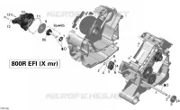 Refroidissement Moteur