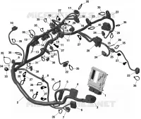 01- ROTAX - Engine Harness And Electronic Module