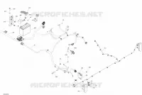 Électrique - Système - Section Arrière - BASE - DPS - XT