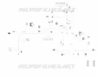 Électrique - Câblage Principal - 710006376