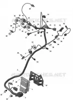 Rotax - Câblage Moteur Et Module Électronique - Turbo RR