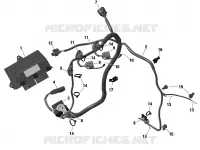 Électrique - Engine Harness / Electronic Module - 600 ACE