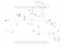 Électrique - Câblage Principal - 710006750