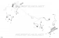 CLIGNOTANTS