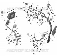 01- ROTAX - Engine Harness And Electronic Module