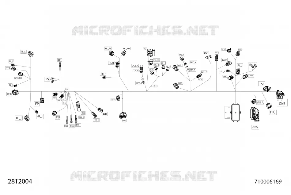 Câblage Principal - 710006169 - XT