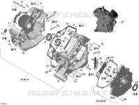 Carter