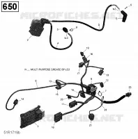 Câblage Moteur et Module Électronique - 650 EFI (Ensemble North)