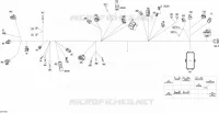 Câblage Principal - 710005755