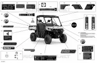Carrosserie - Décalques  - XT