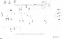 Câblage Principal - 710005545 - Traxter T