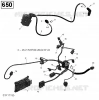 Câblage Moteur et Module Électronique - 650 EFI (Ensemble North)