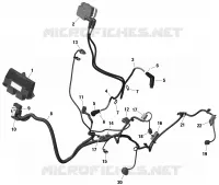 Électrique - Câblage Moteur Et Module Électronique - HD10
