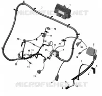 Rotax - Câblage Moteur Et Module Électronique