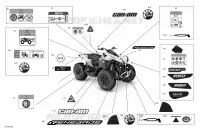Carrosserie - Décalques - STD
