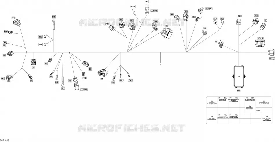 Câblage Principal - 710005820 - T3