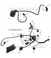 Rotax - Câblage Moteur Et Module Électronique - 850 EFI - North Edition Seulement