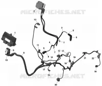 Électrique - Câblage Moteur Et Module Électronique - HD10
