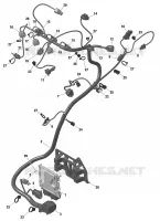 01- ROTAX - Engine Harness And Electronic Module