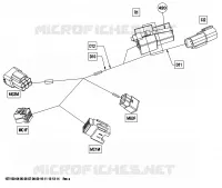 Câblage Électrique, Section Avant Europe