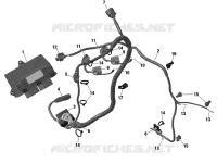 01 ROTAX - Électrique - Câblage Moteur / Module Électronique - 600 ACE