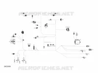 Électrique - Câblage Principal - 710006658