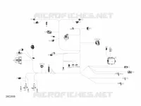 Électrique - Câblage Principal - 710006658