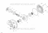 Entraînement Arrière - Pièces du Différentiel