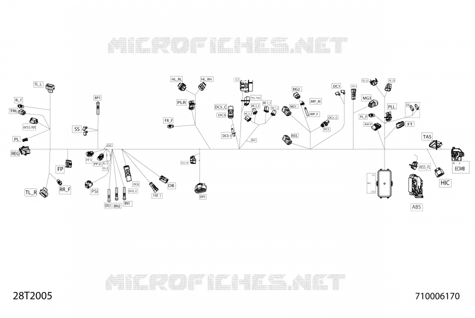 Câblage Principal - 710006170