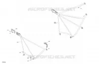07- Body - Safety Net