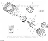 Vilebrequin et Pistons - 450 EFI