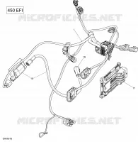 Câblage Moteur et Module Électronique - 450 EFI