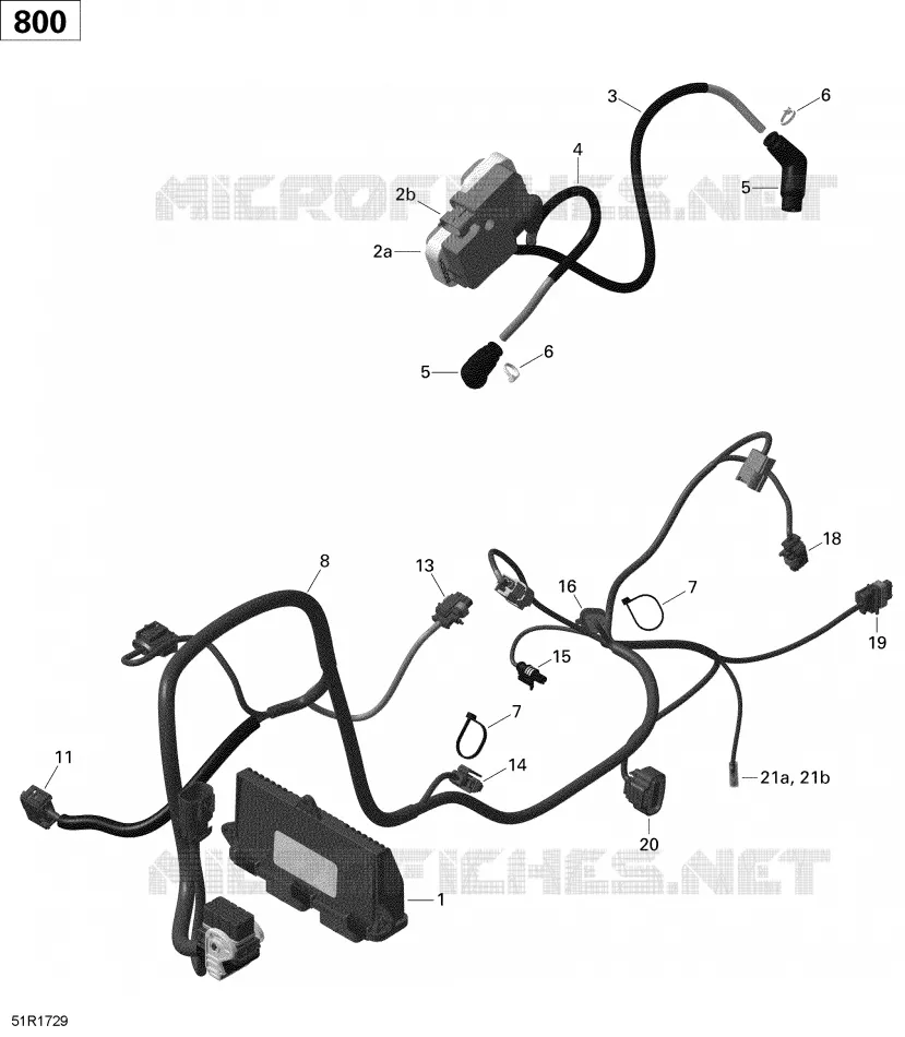 Câblage Moteur et Module Électronique - 800R EFI