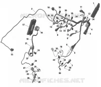 01- ROTAX - Engine Harness And Electronic Module