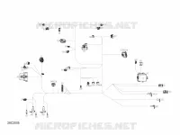 Câblage Principal - 710006800