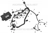 Électrique - Engine Harness / Electronic Module - 900 ACE