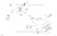 CLIGNOTANTS