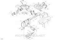 Moteur - Échappement