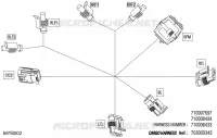 08- 0 - CARGO HARNESS - 710006434