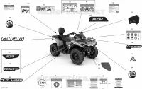Décalques - DPS