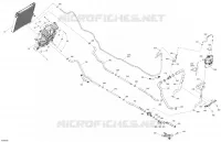 02- Engine - Cooling