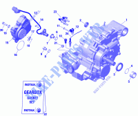 Rotax   Boîte De Vitesses Et Composantes 420686216 pour Can-Am RENEGADE 650 T de 2021