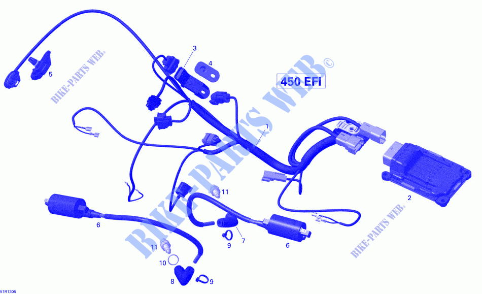 Câblage Moteur Et Module Électronique pour Can-Am DS X MX 450 de 2013
