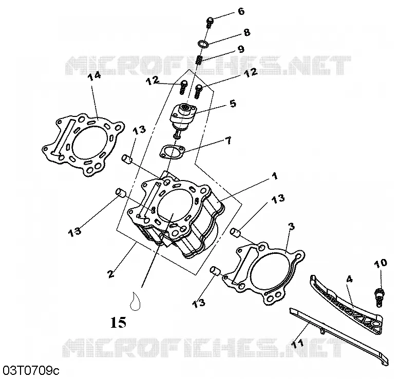 Culasse Can-Am ATV DS 250 2007 DS 250  DS 250