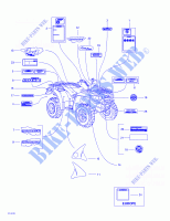 Décalques pour Can-Am TRAXTER AUTOSHIFT de 2002
