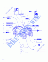 Décalques pour Can-Am TRAXTER AUTOSHIFT de 2001