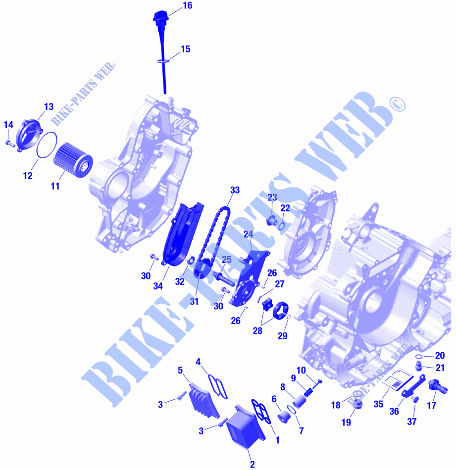 01  ROTAX   Engine Lubrication pour Can-Am Outlander Max DPS 500 4X4 de 2024