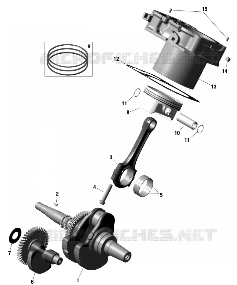 01- ROTAX - Crankshaft, Pistons and Cylinder Can-Am SSV Traxter XU HD7 6DPN 2023 Traxter XU HD7  Traxter XU HD7