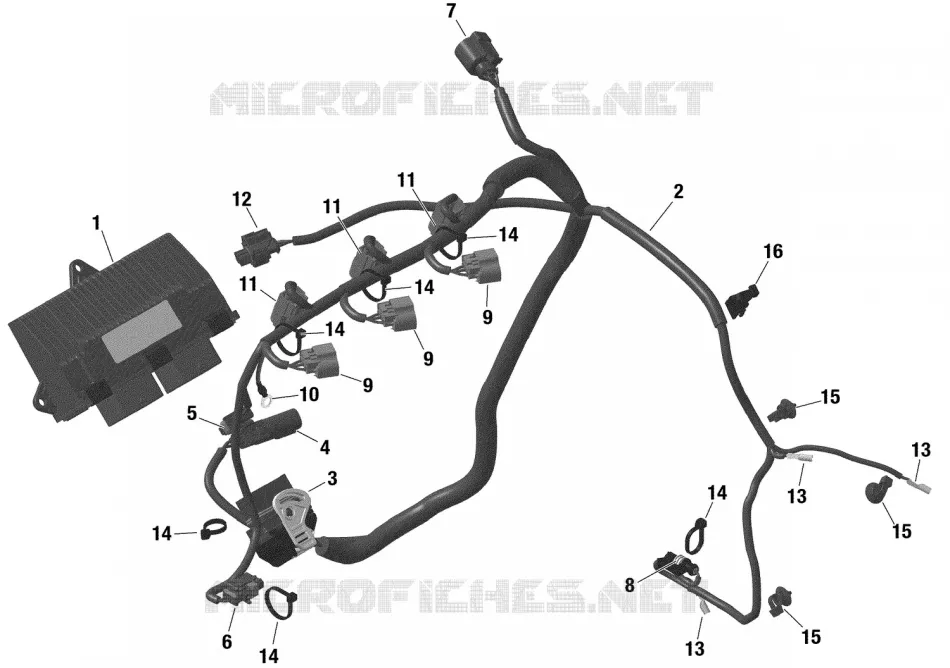 01 ROTAX Câblage Moteur Et Module Électronique pour Can-Am RYKER SPORT ...